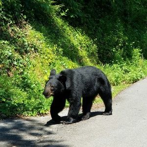 Meet your Posher, Derek